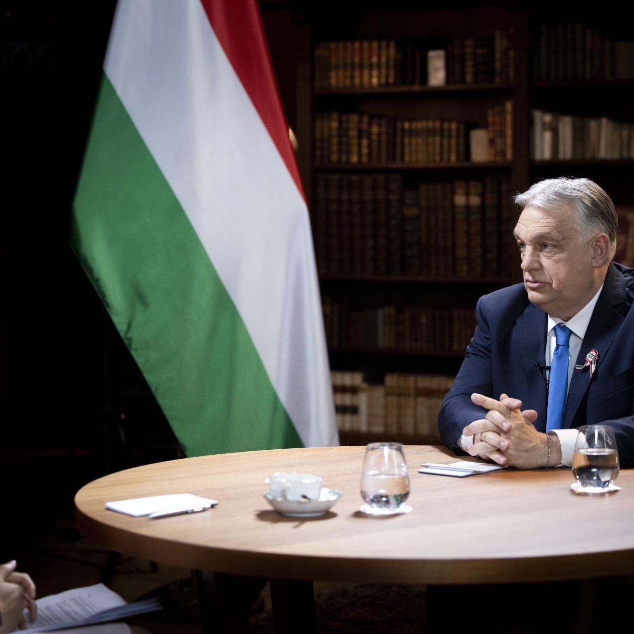 Galéria bélyegkép: 2