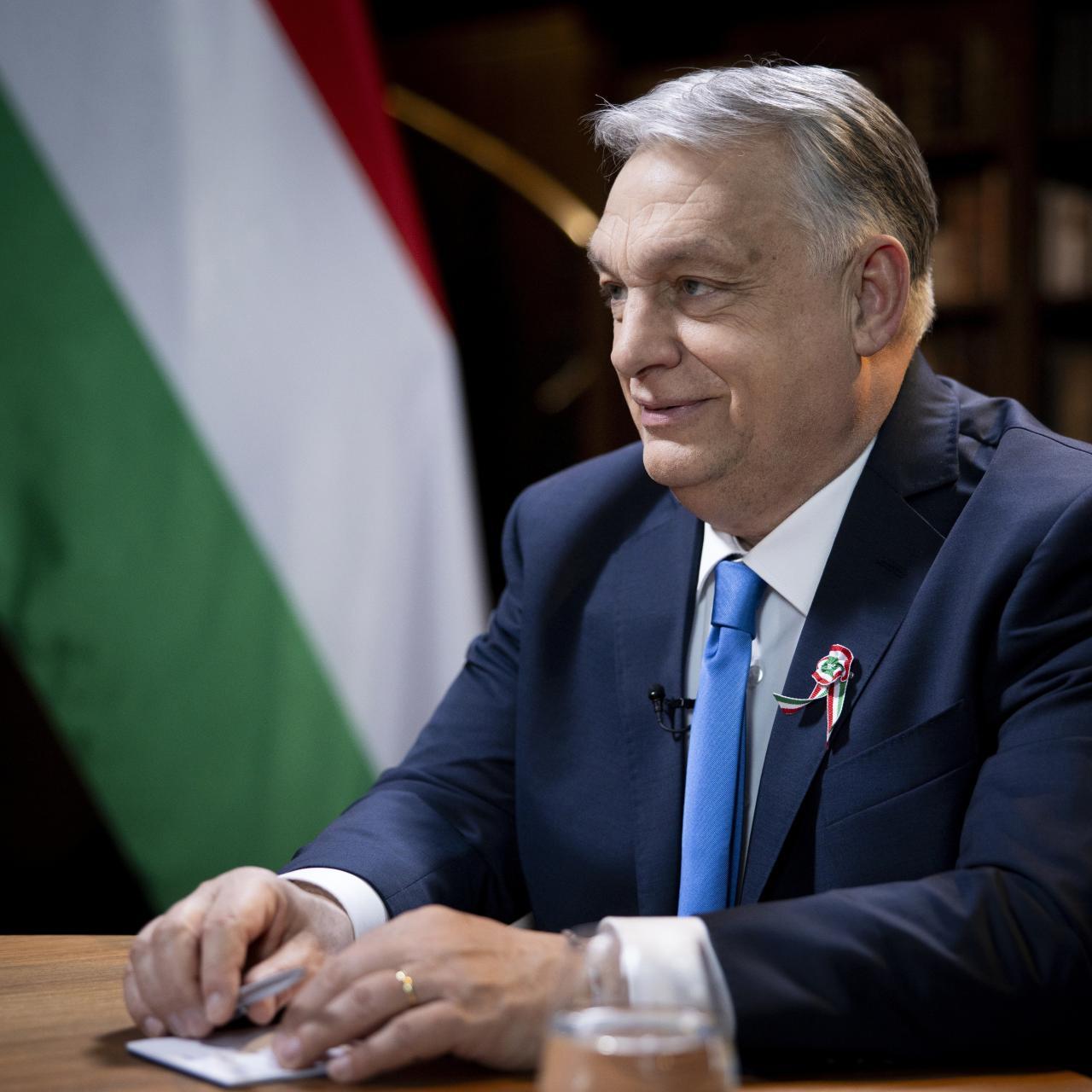 Galéria bélyegkép: 1