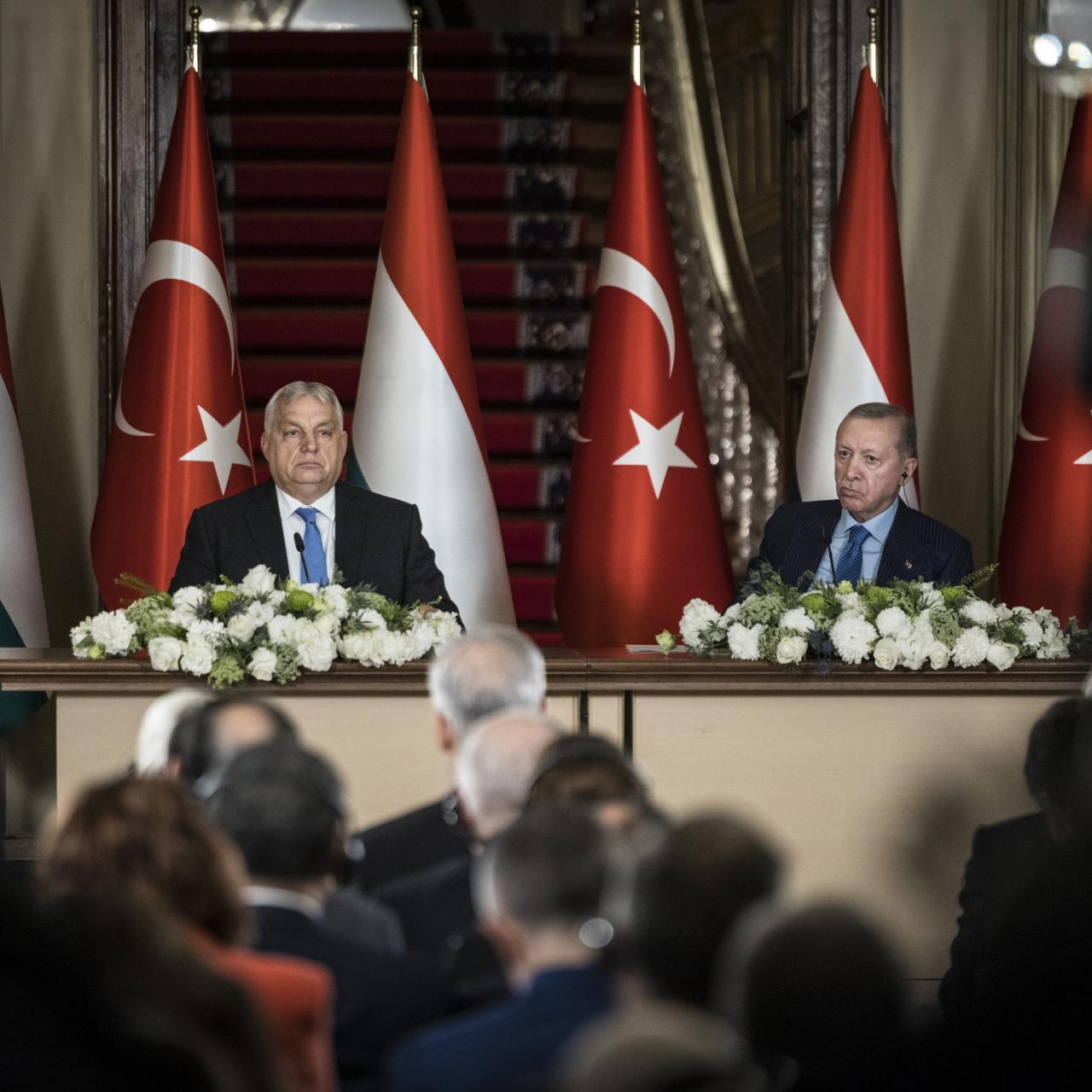 Gallery thumbnail: 1