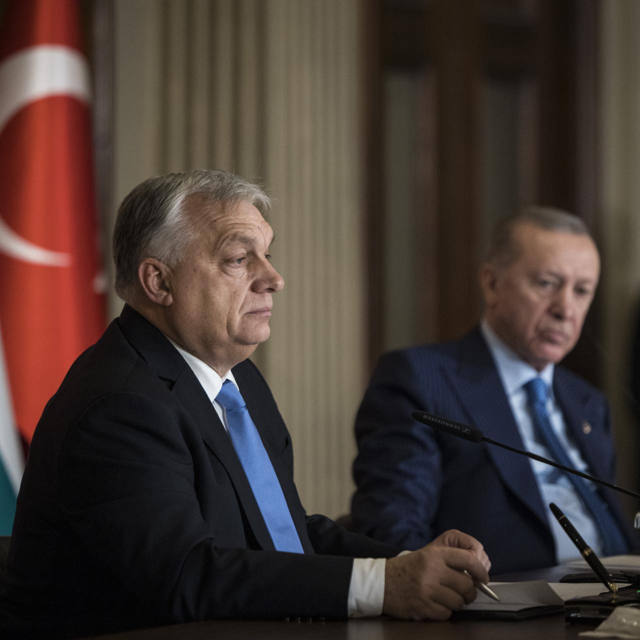 Gallery thumbnail: 2