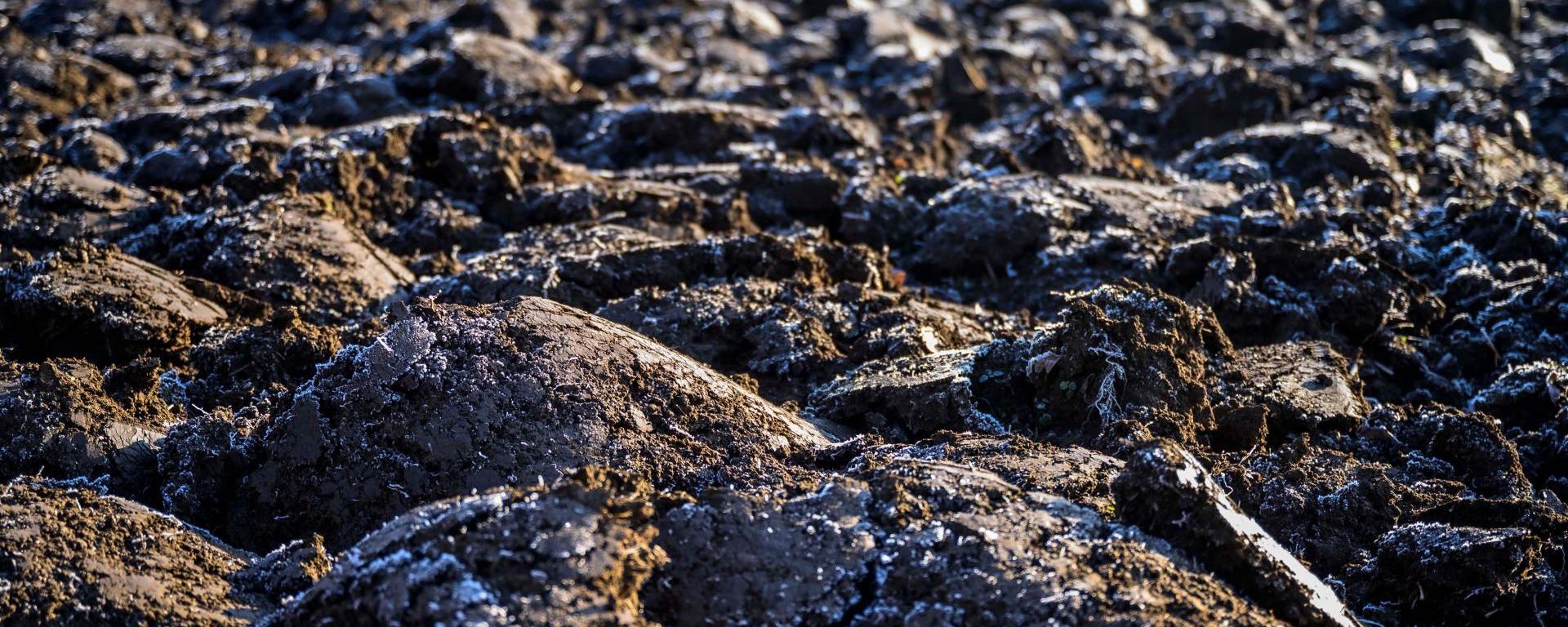 Fotó: Pelsőczy Csaba