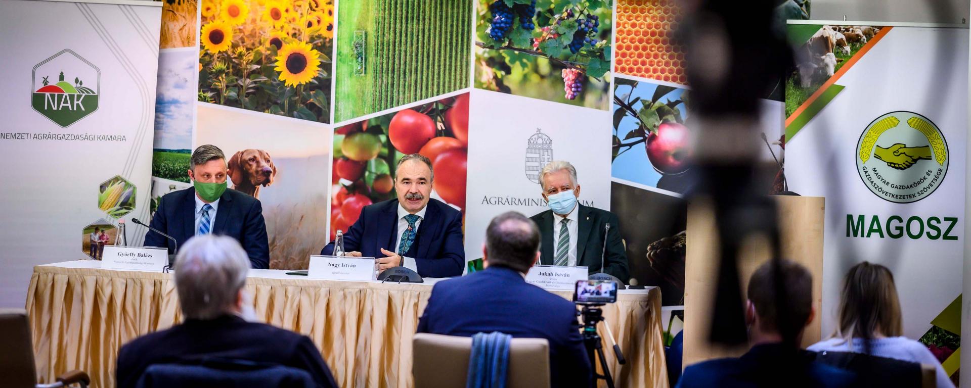 Fotó: Pelsőczy Csaba