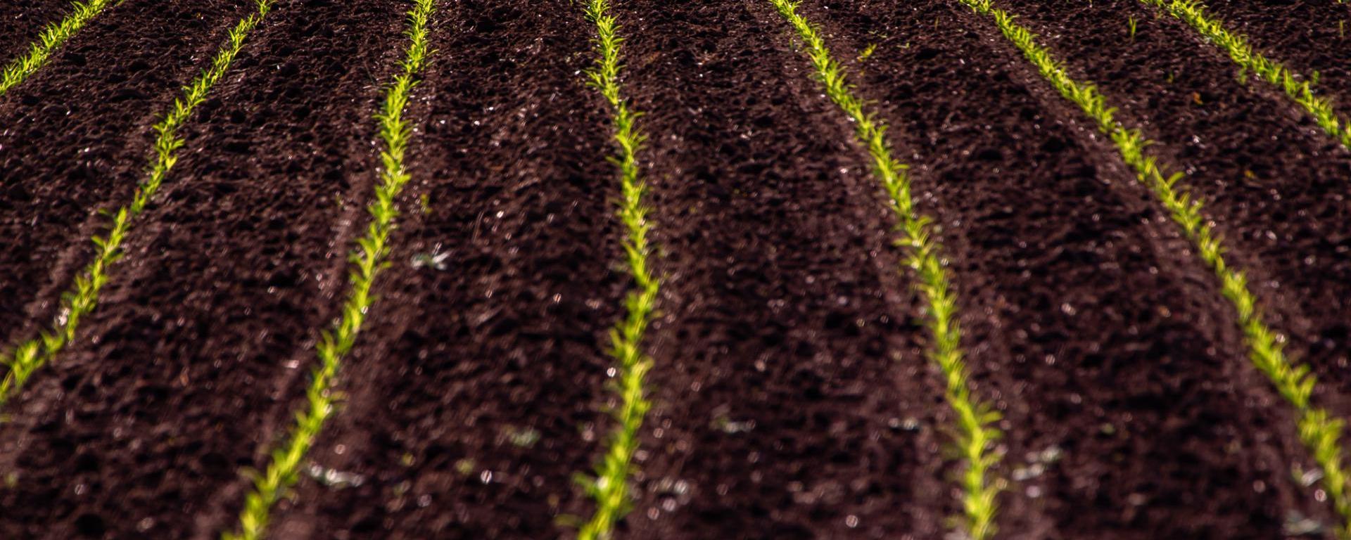 FRISSÜLTEK A KÖZVETLEN TÁMOGATÁSOKHOZ KAPCSOLÓDÓ GYAKRAN ISMÉTELT KÉRDÉSEK  AZ AGRÁRMINISZTÉRIUM TEMATIKUS HONLAPJÁN