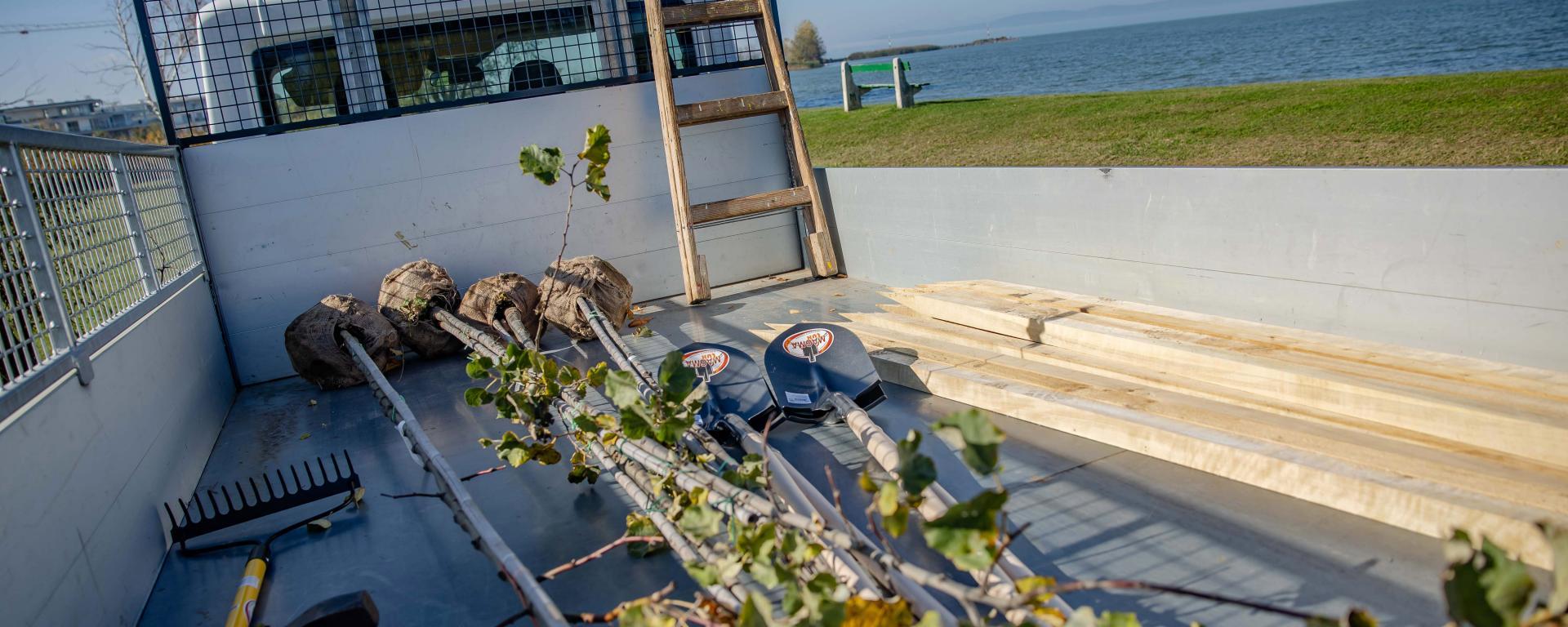 faültetés Balatonszemes