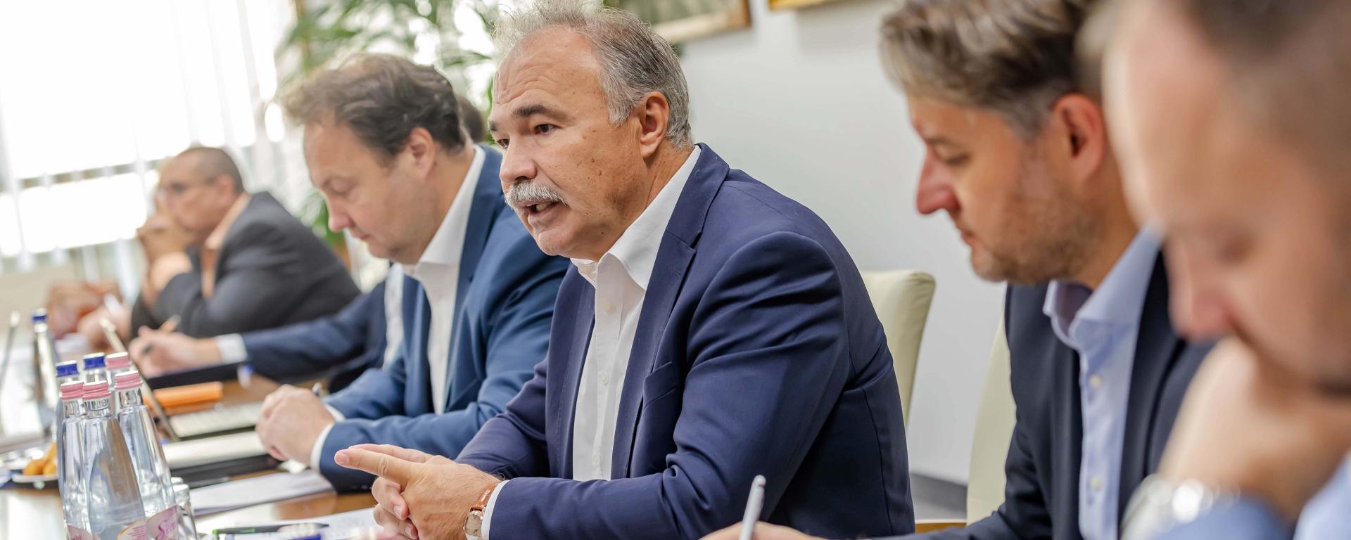 aranyszínű sárgaság egyeztetés