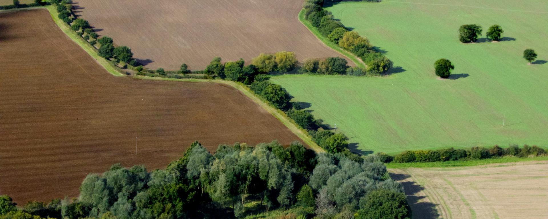 Konferencia fenntartható fejl.