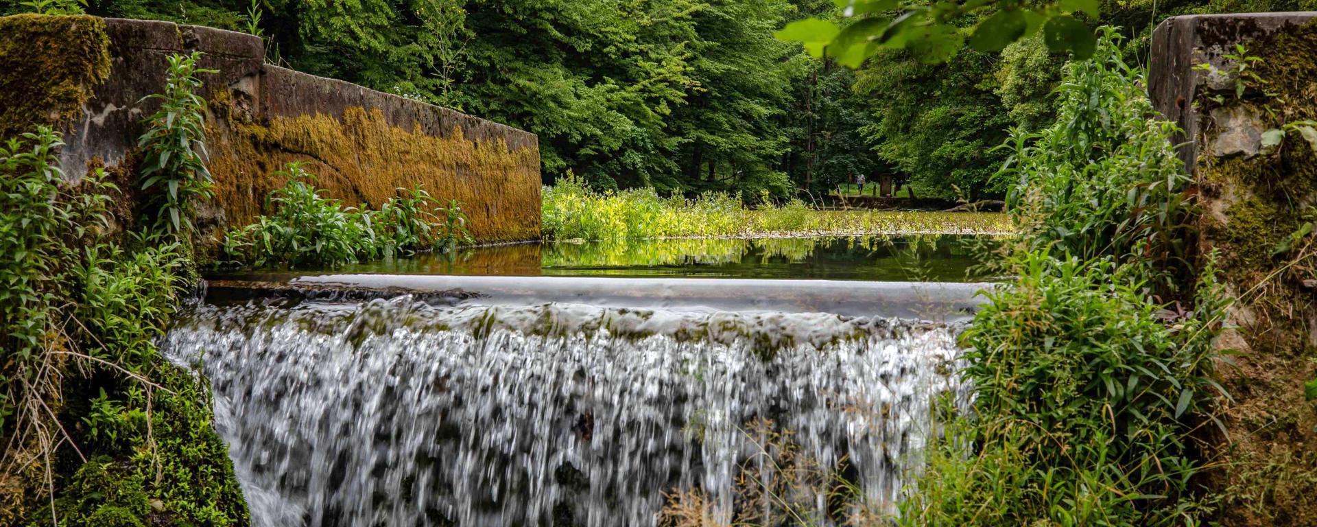 aggtelek vizes élőhelyek
