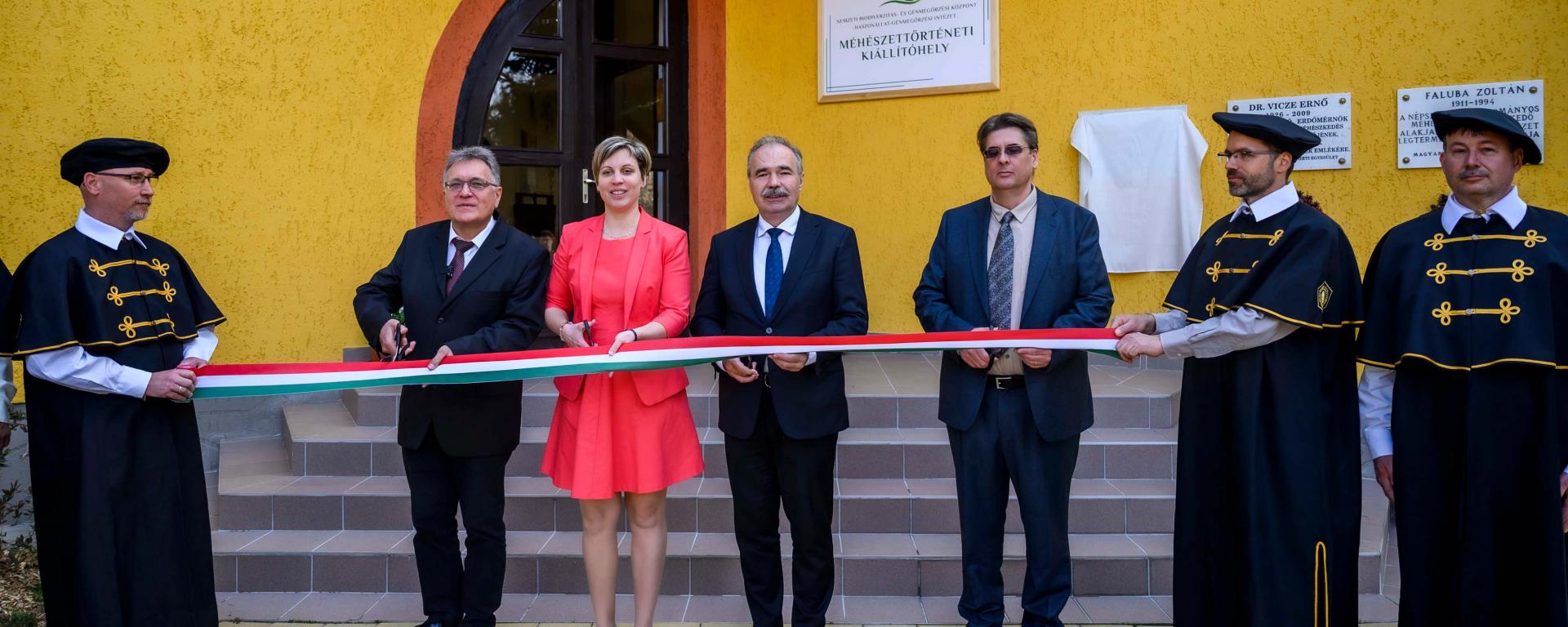 Fotó: Pelsőczy Csaba