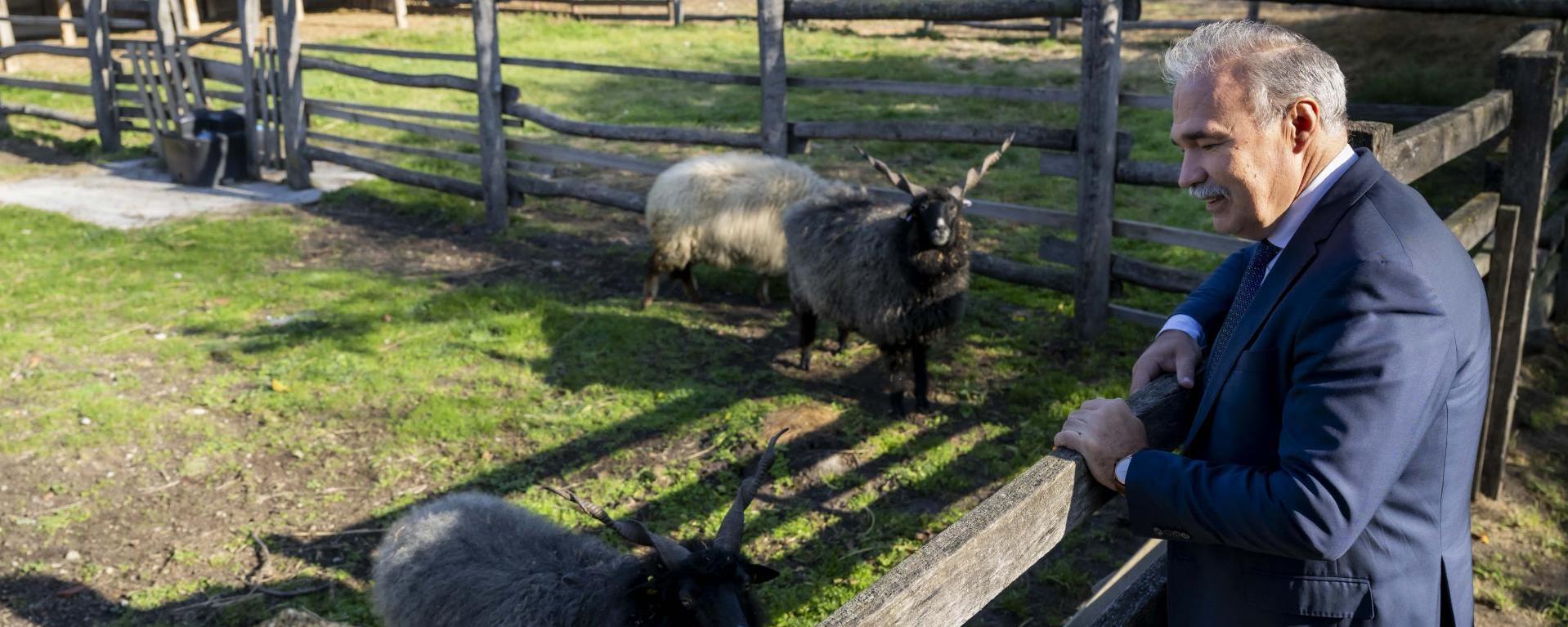 Fotó: Pelsőczy Csaba