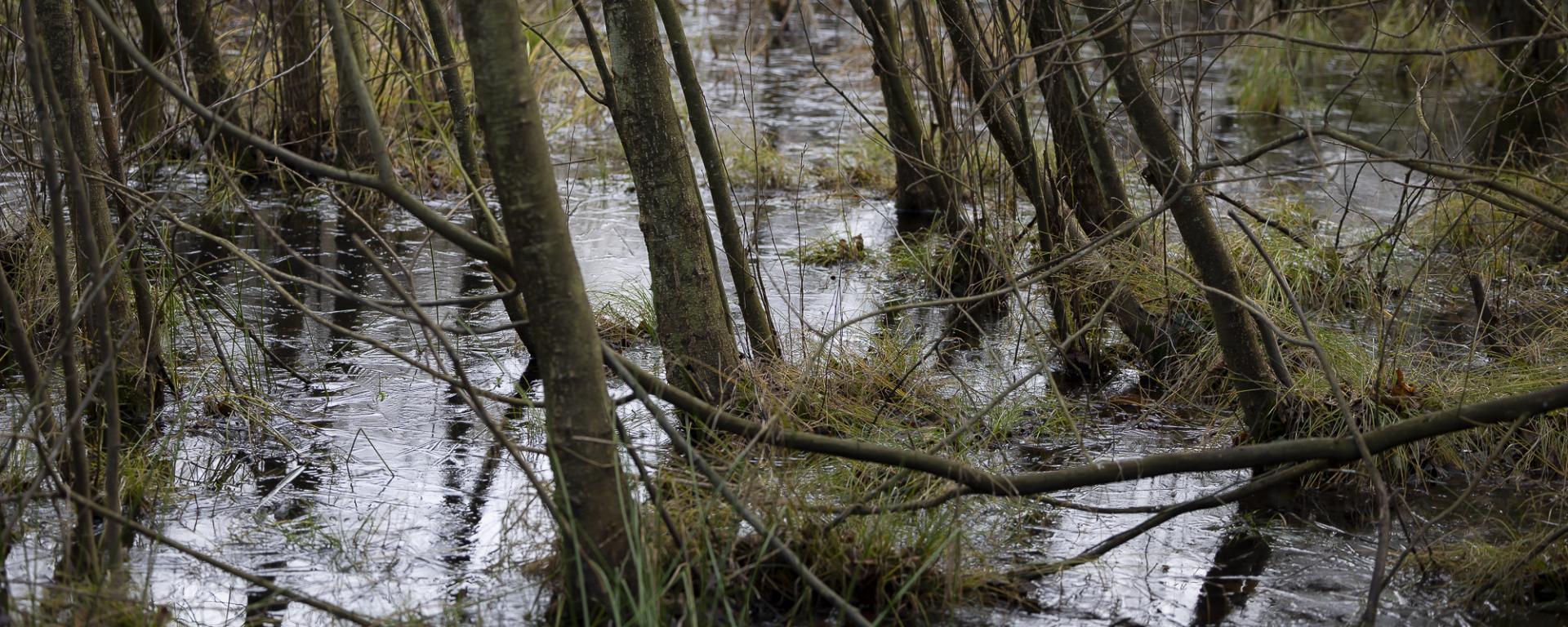 Fotó: Fekete István