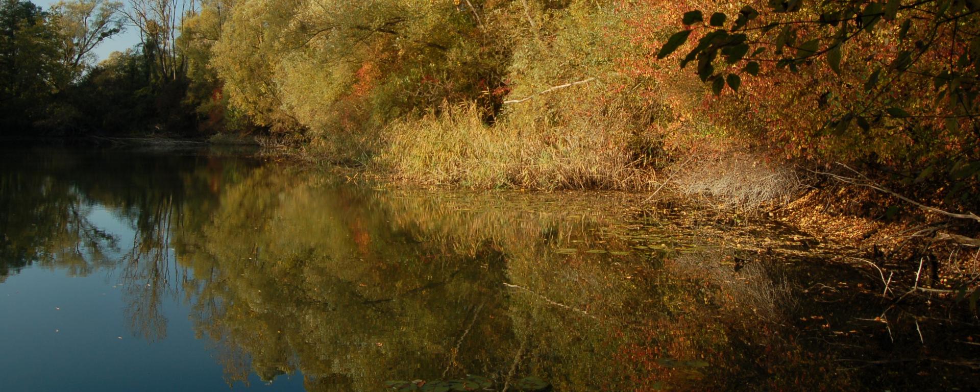 Fotó: Agrárminisztérium