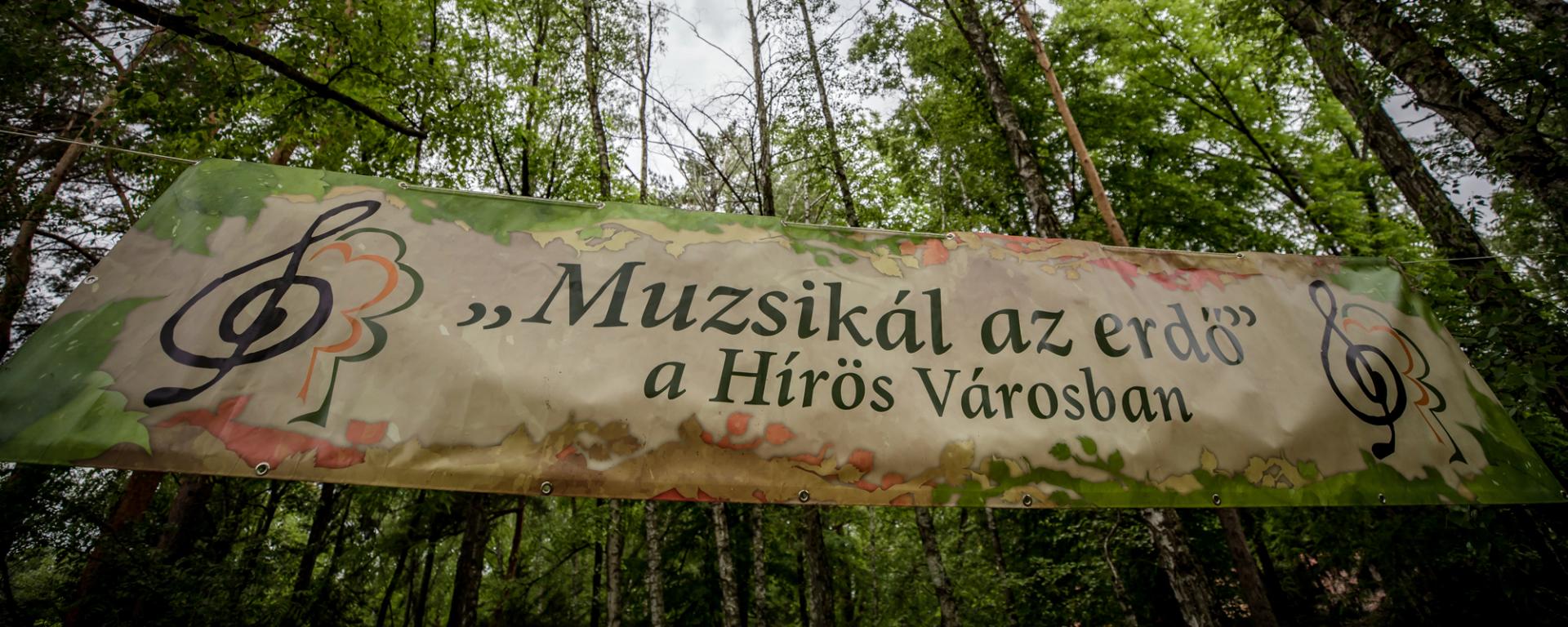Muzsikál az erdő