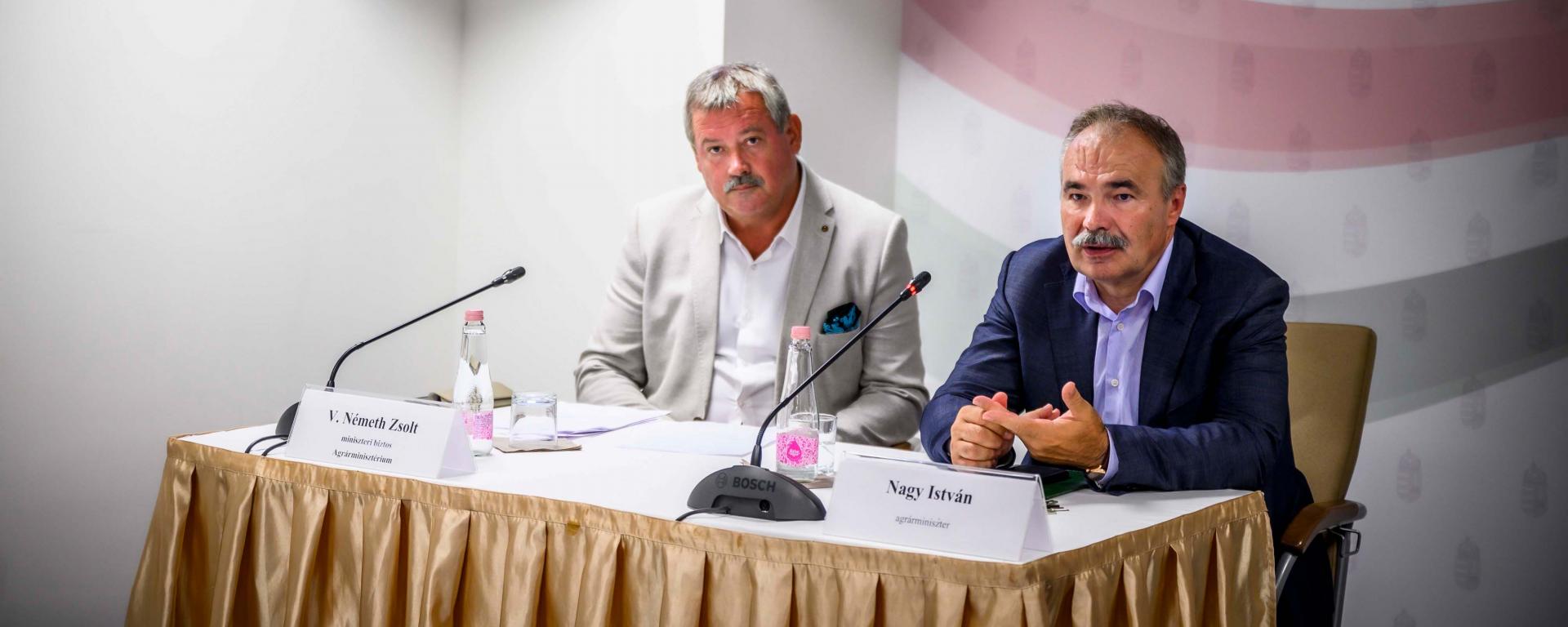 Fotó: Pelsőczy Csaba