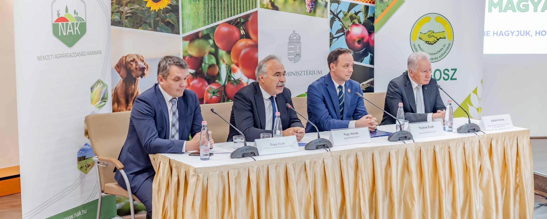 Nagy István stáj 3