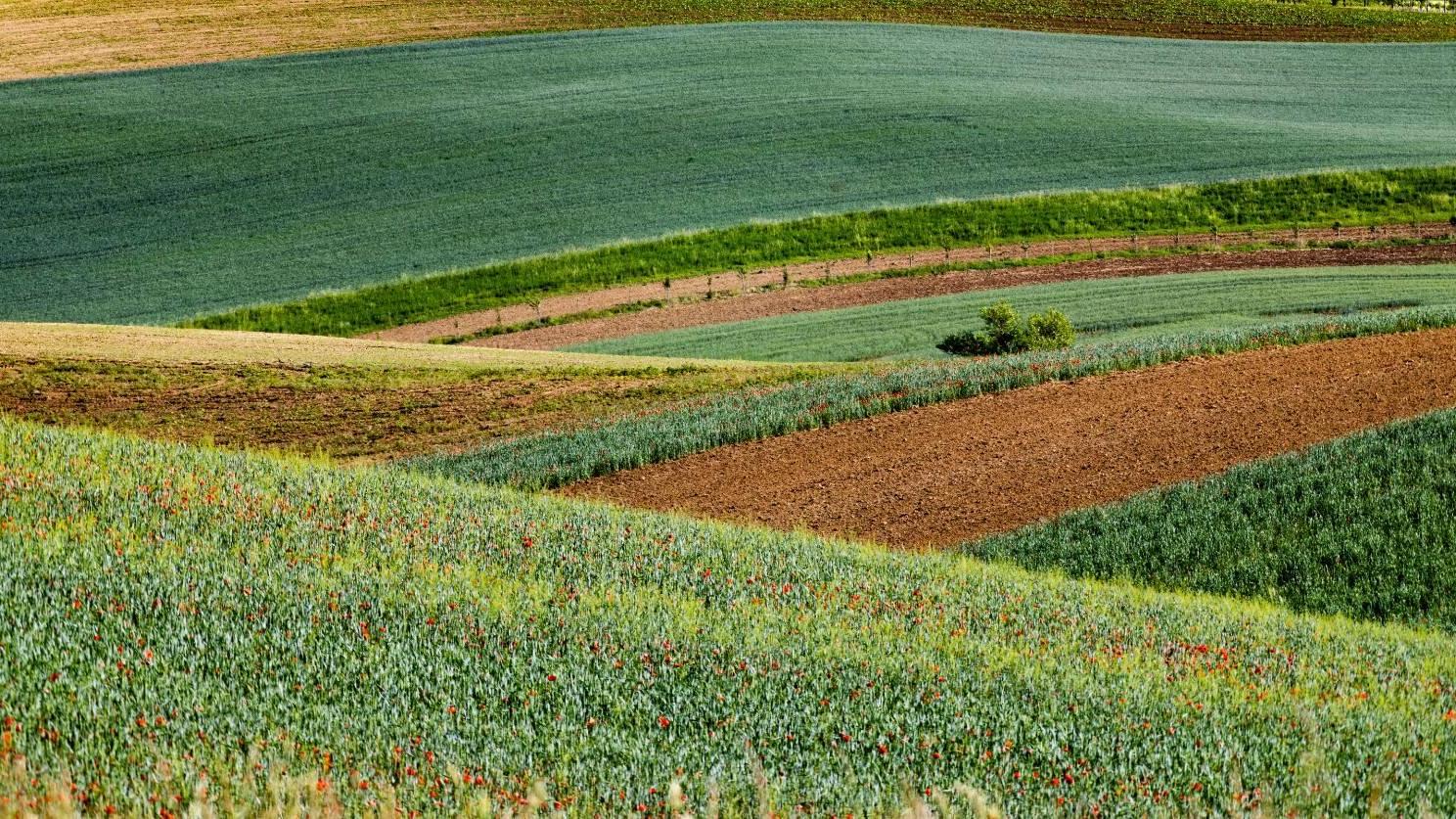 Mentőcsomag az aszályhelyzet, az elemi károk és a piaci válság kezelésére