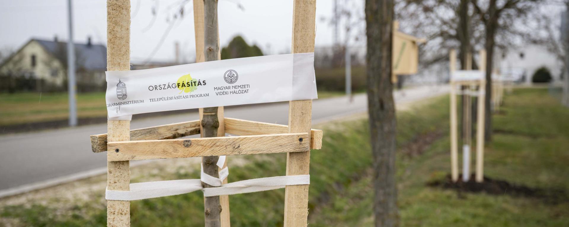 településfásítás