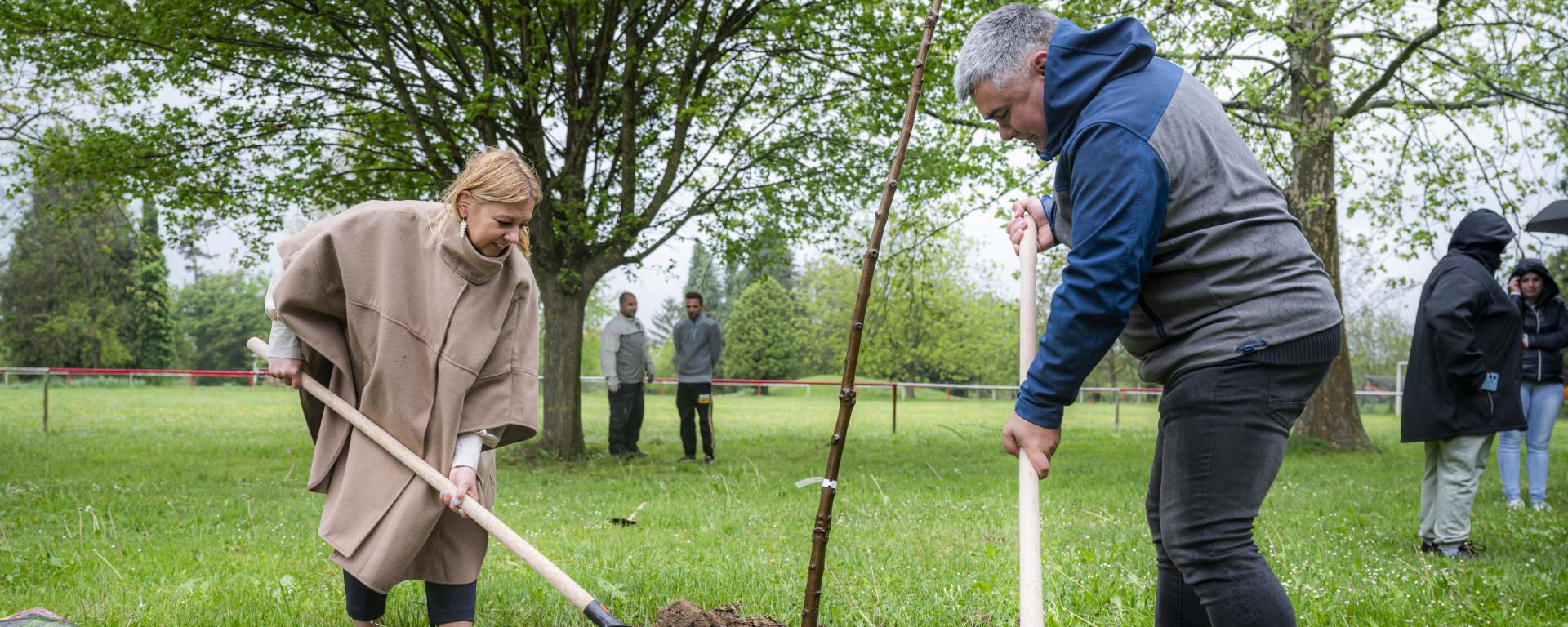 Iharos_Felkai_Bea_PCs