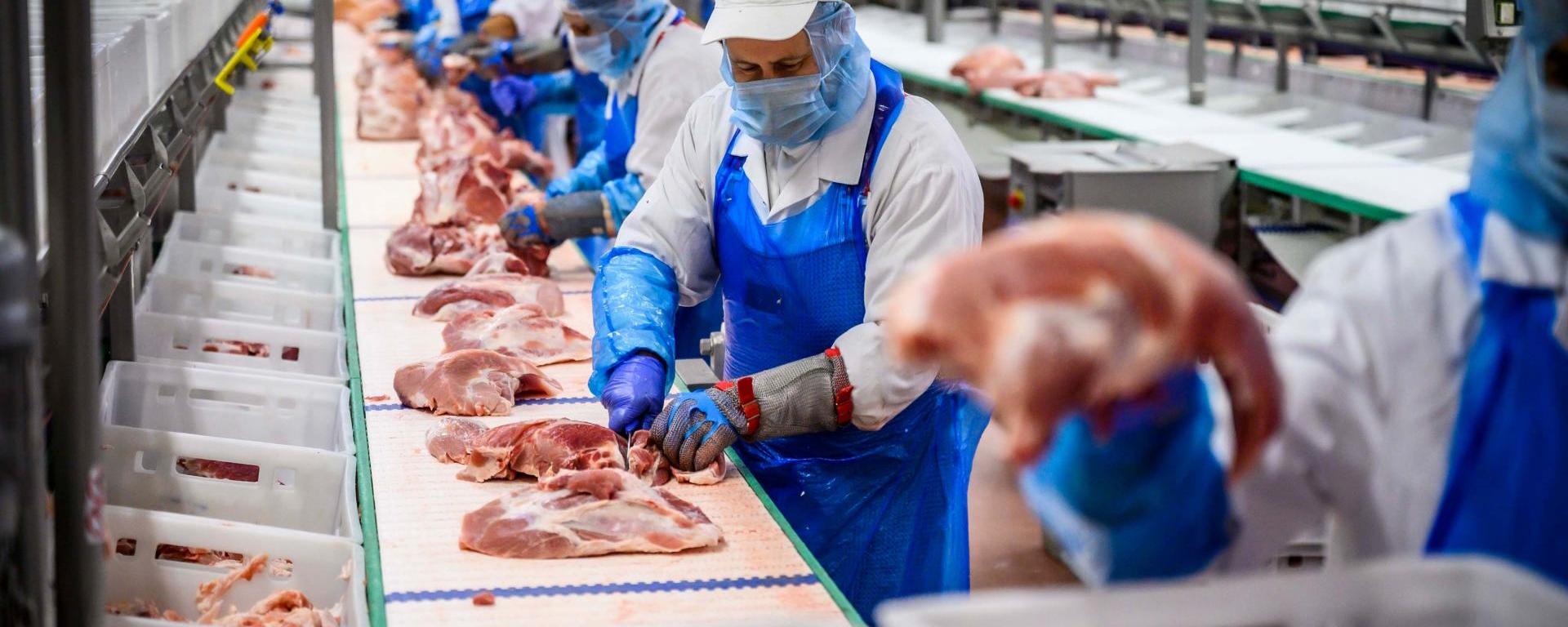 Fotó: Pelsőczy Csaba