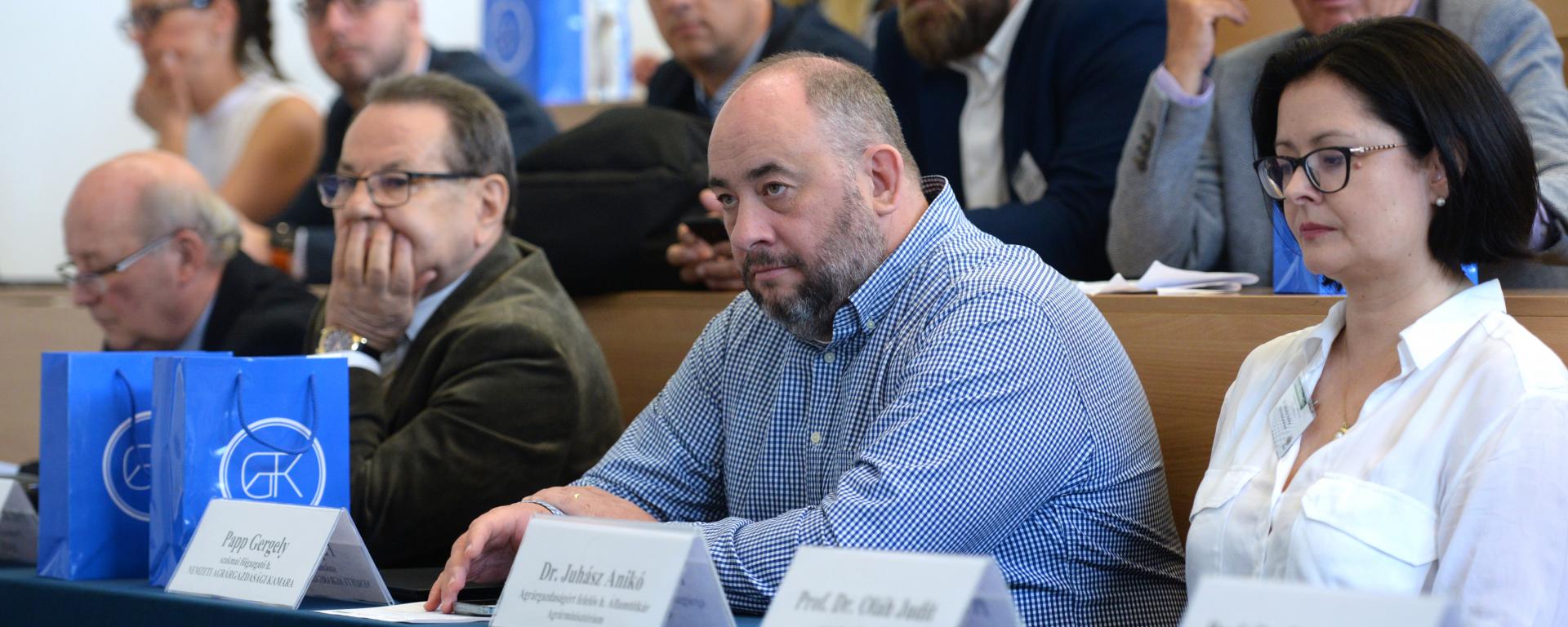 Juhász Anikó Debrecen konferencia