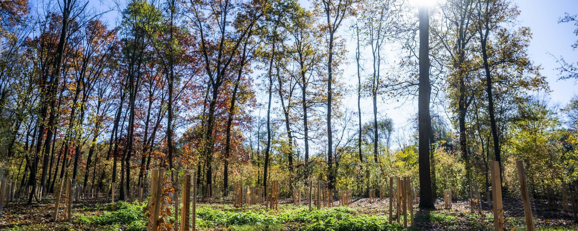 Fotó: Pelsőczy Csaba