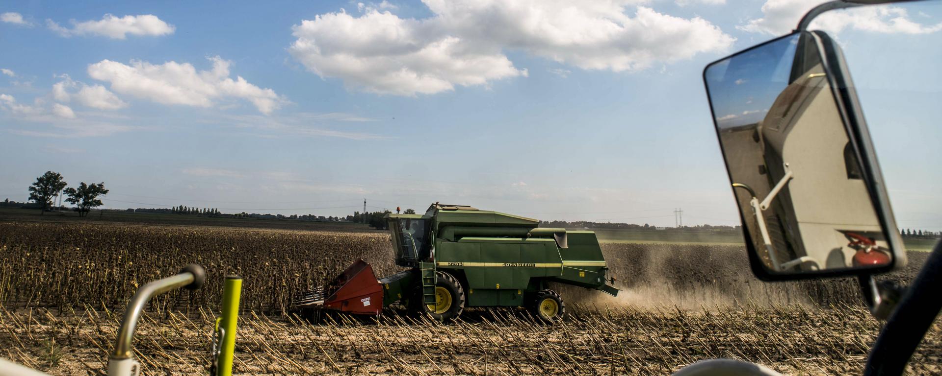 Fotó: Pelsőczy Csaba