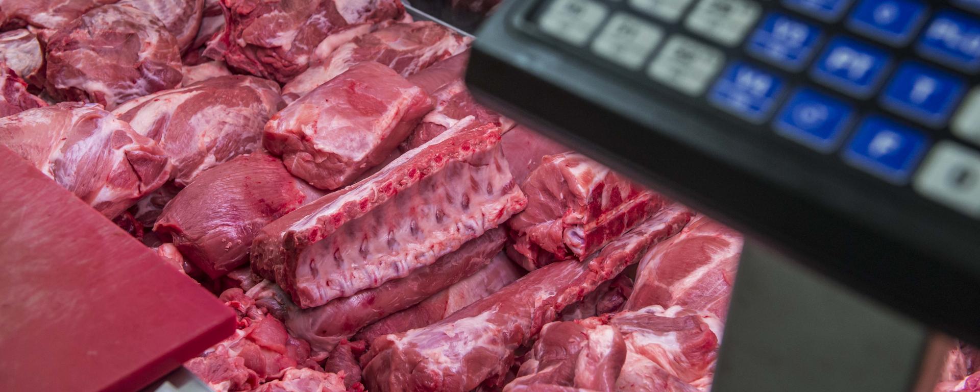 Fotó: Pelsőczy Csaba