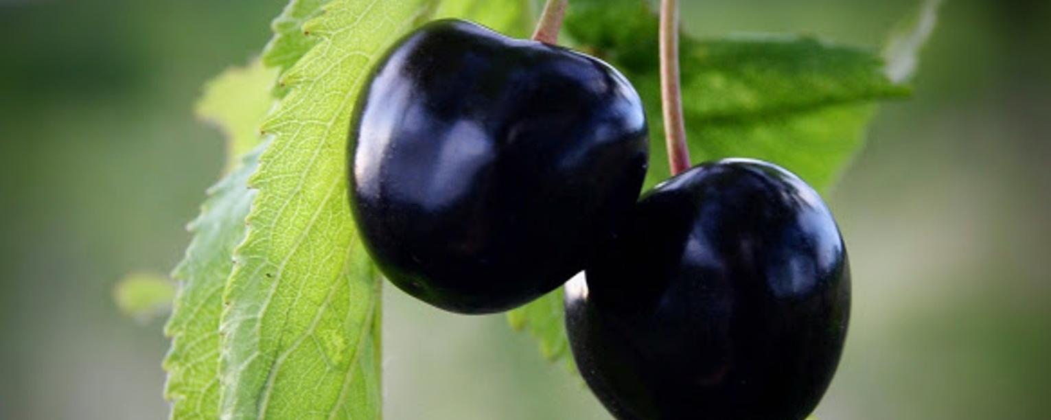 Fotó: Agrárminisztérium