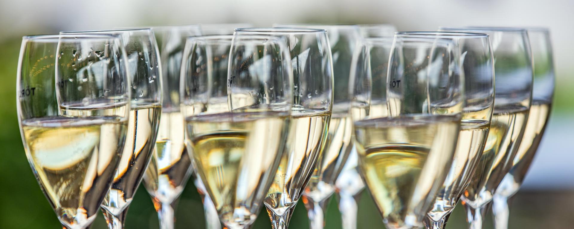 Pezsgőkonferencia, Etyek, 2023