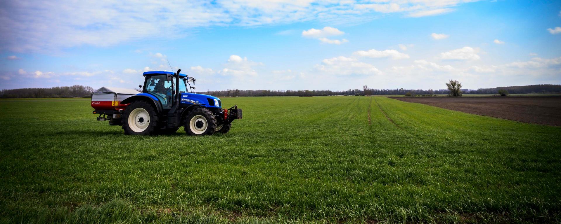 Fotó: Pelsőczy Csaba