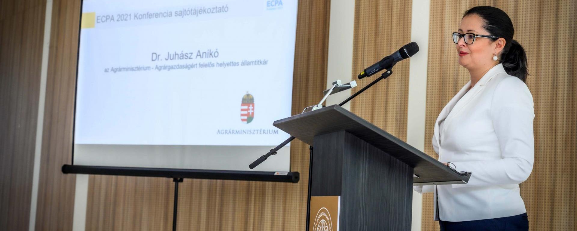 Fotó: Pelsőczy Csaba