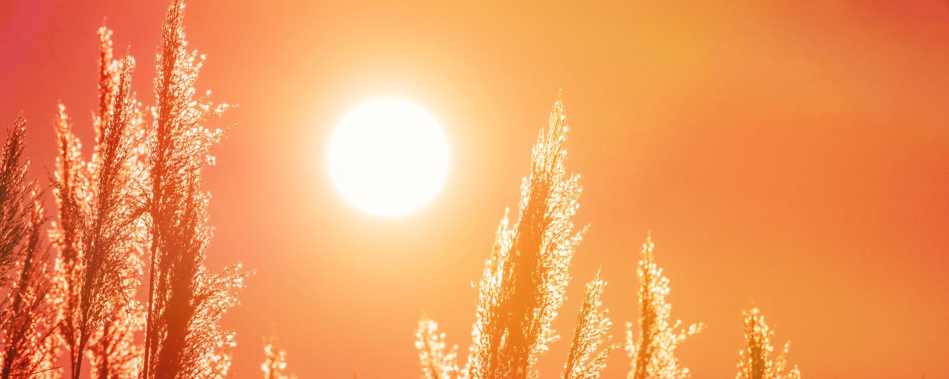 hőségriasztás, heatwave 
