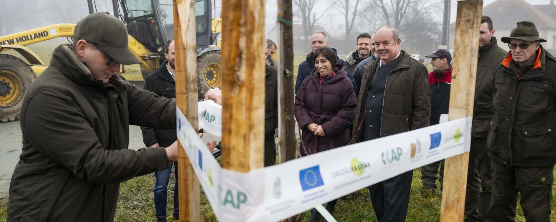 településfásítás