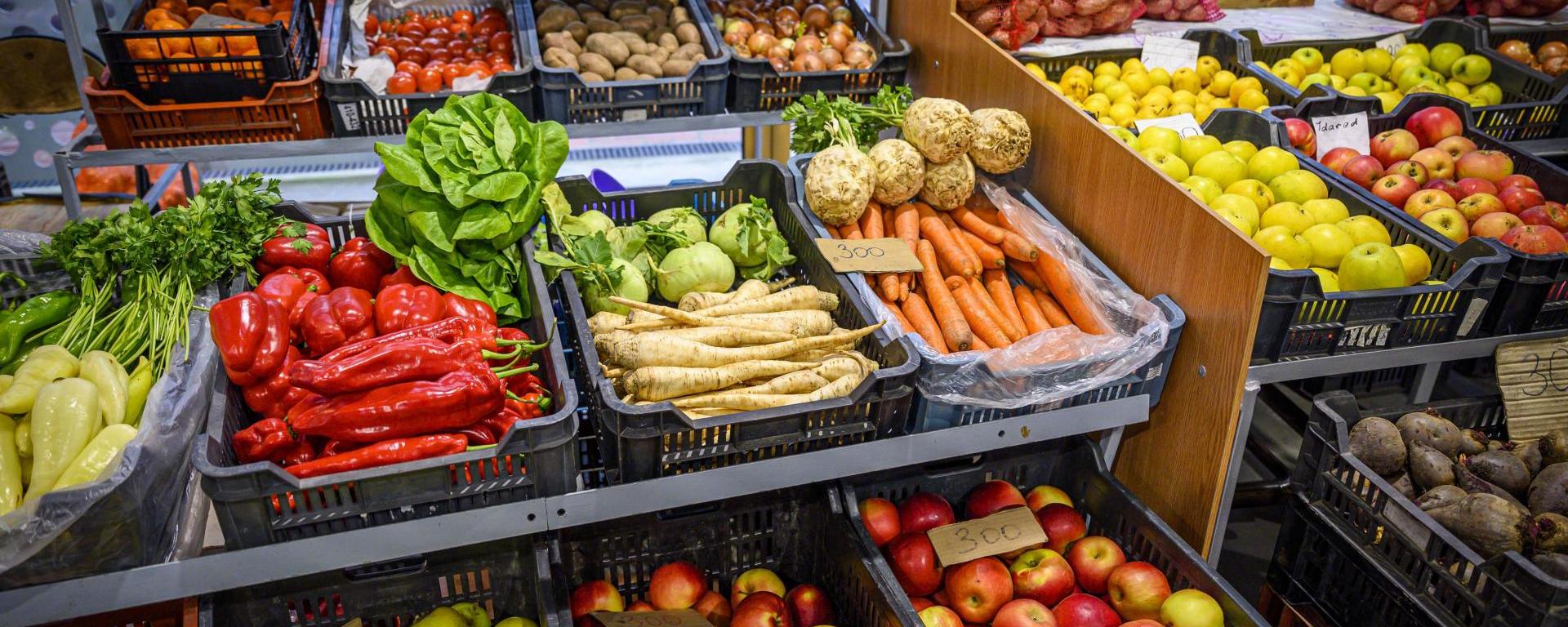 Fotó: Pelsőczy Csaba