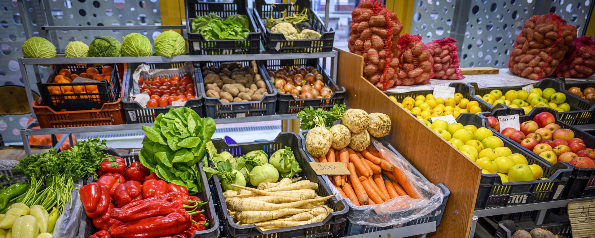 Fotó: Pelsőczy Csaba