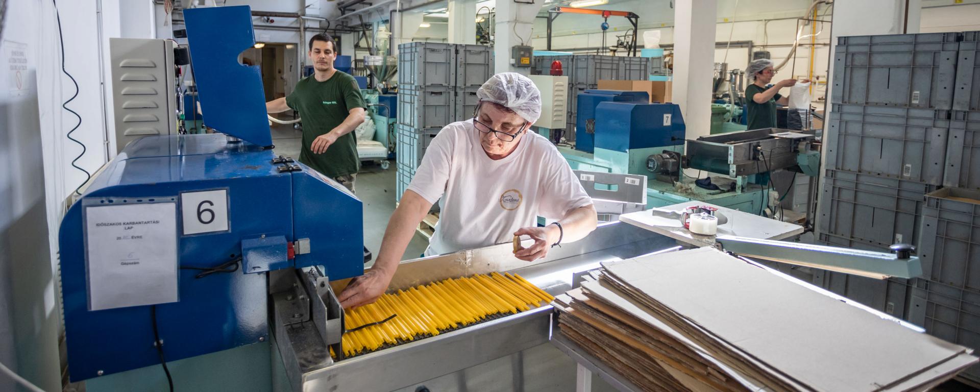 Piringer Kft. , 2021. július