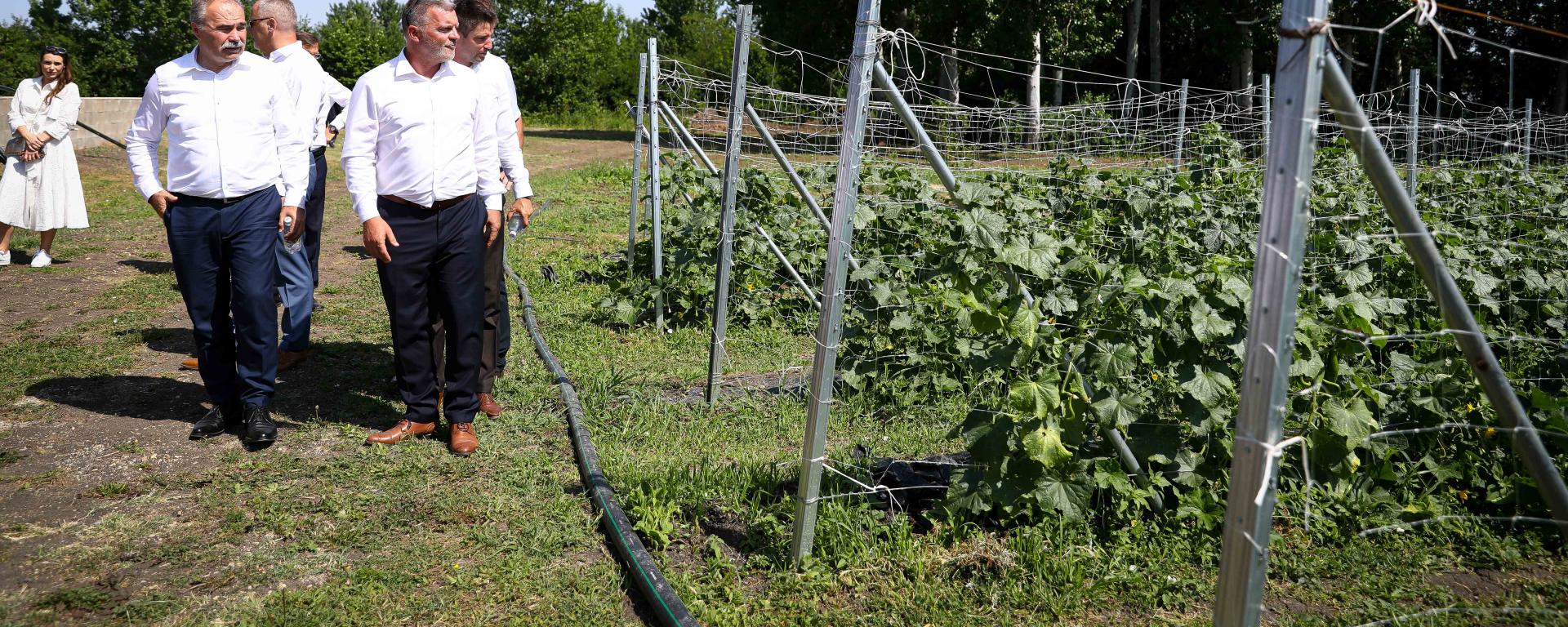 Fotó: Fekete István