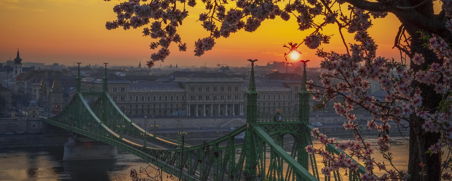 forrás: pixabay.com