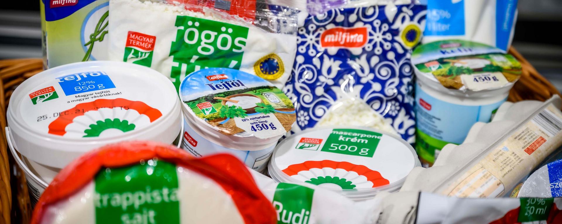 Fotó: Pelsőczy Csaba