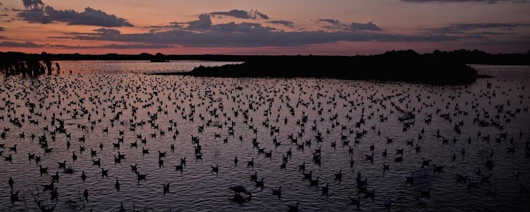 Fotó: Daróczi Csaba