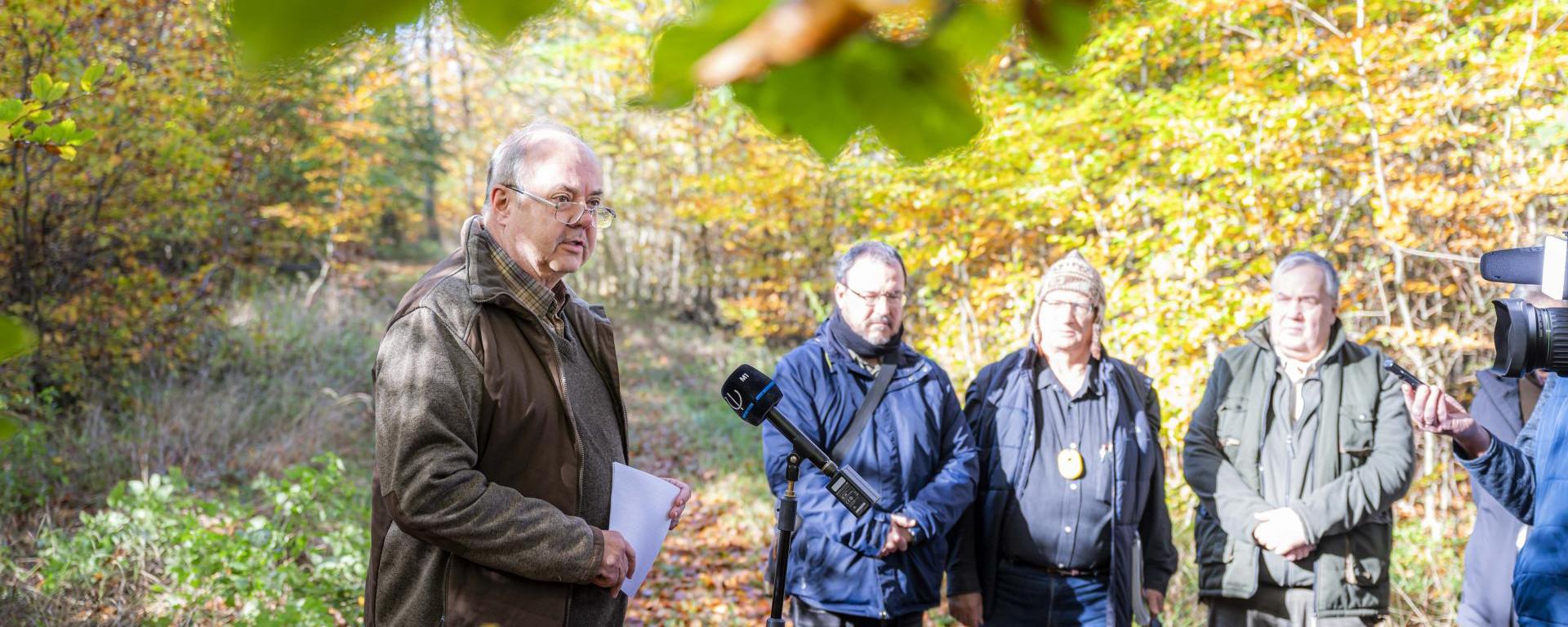 Zambó Péter_erdőrezervátum
