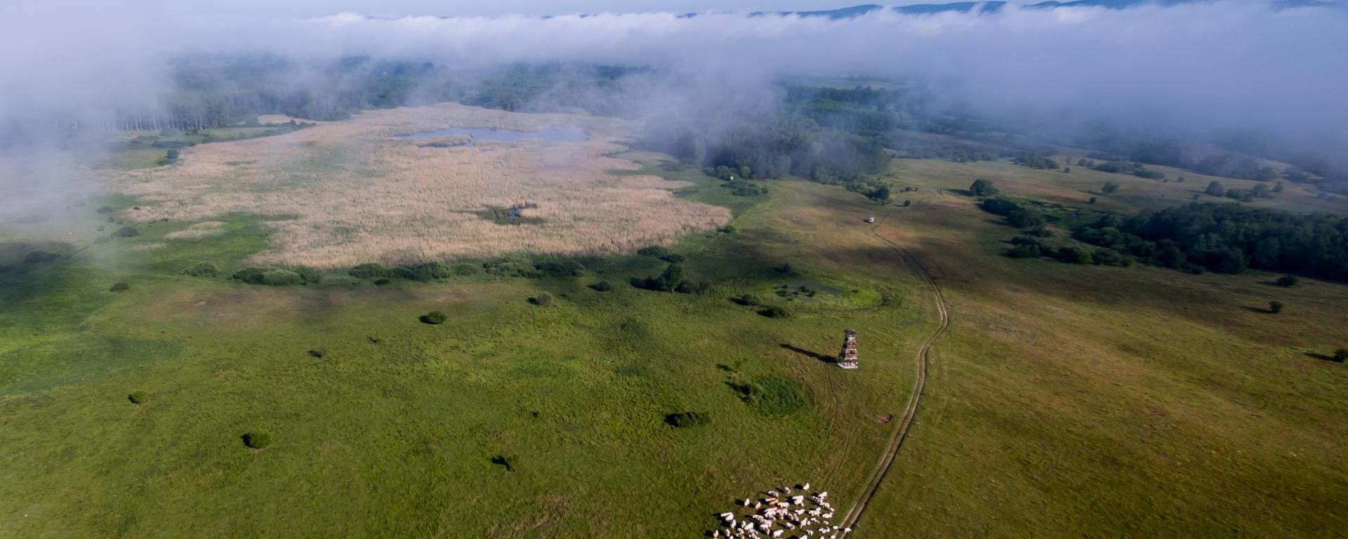 Fotó: Selmeczi Kovács Ádám 