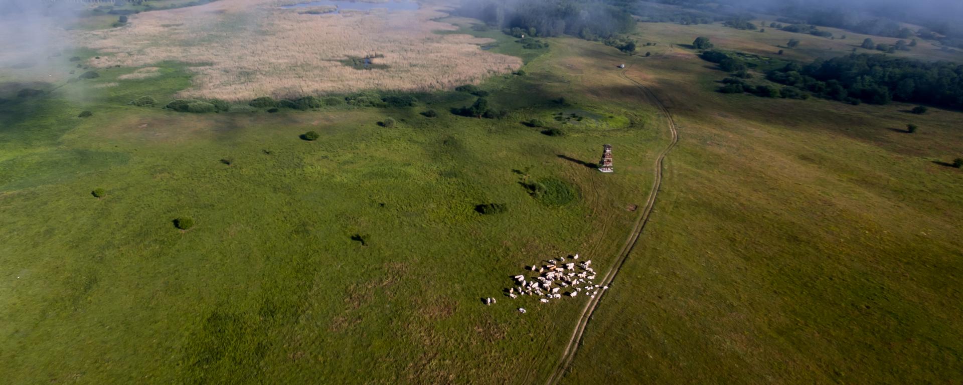 Fotó: Selmeczi Kovács Ádám 