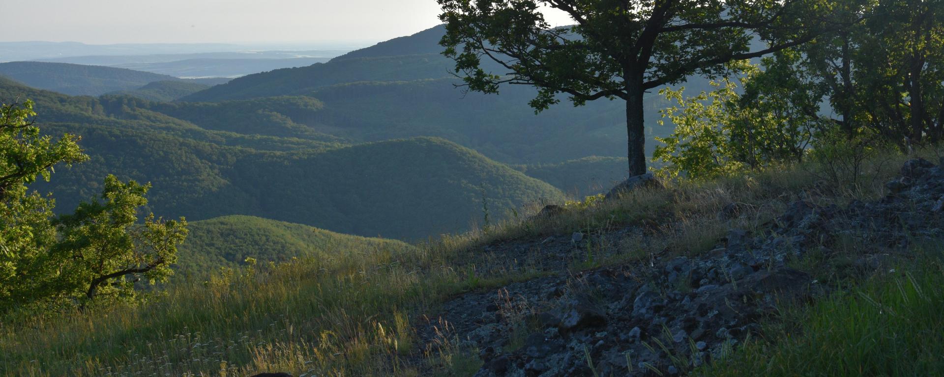 Fotó: Láng Petra Zsófia