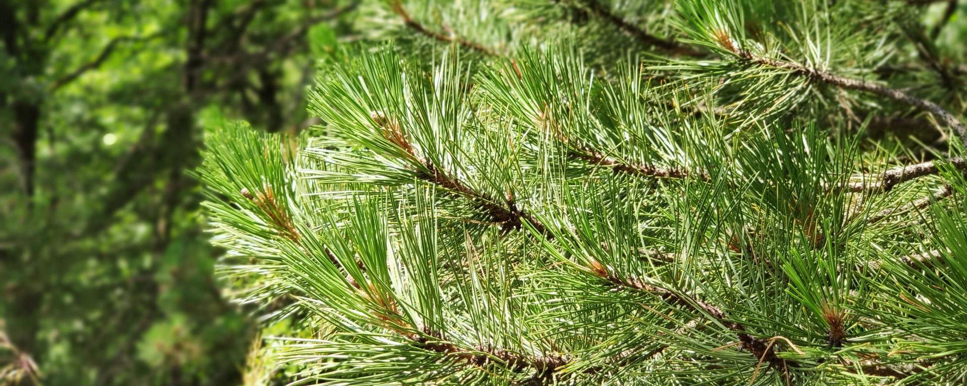 Fotó: Agrárminisztérium