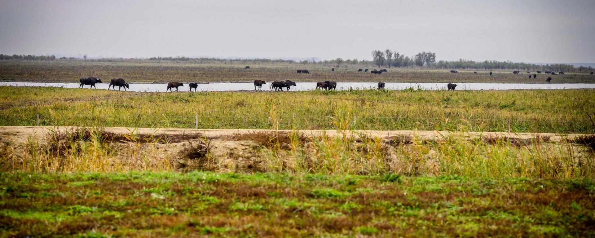 Fotó: Pelsőczy Csaba