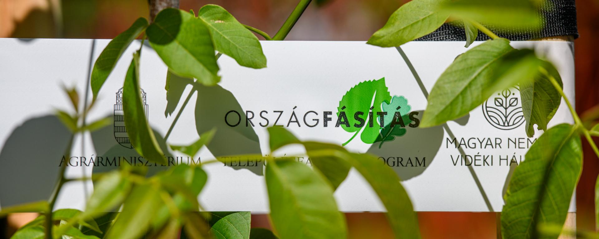 településfásítás 