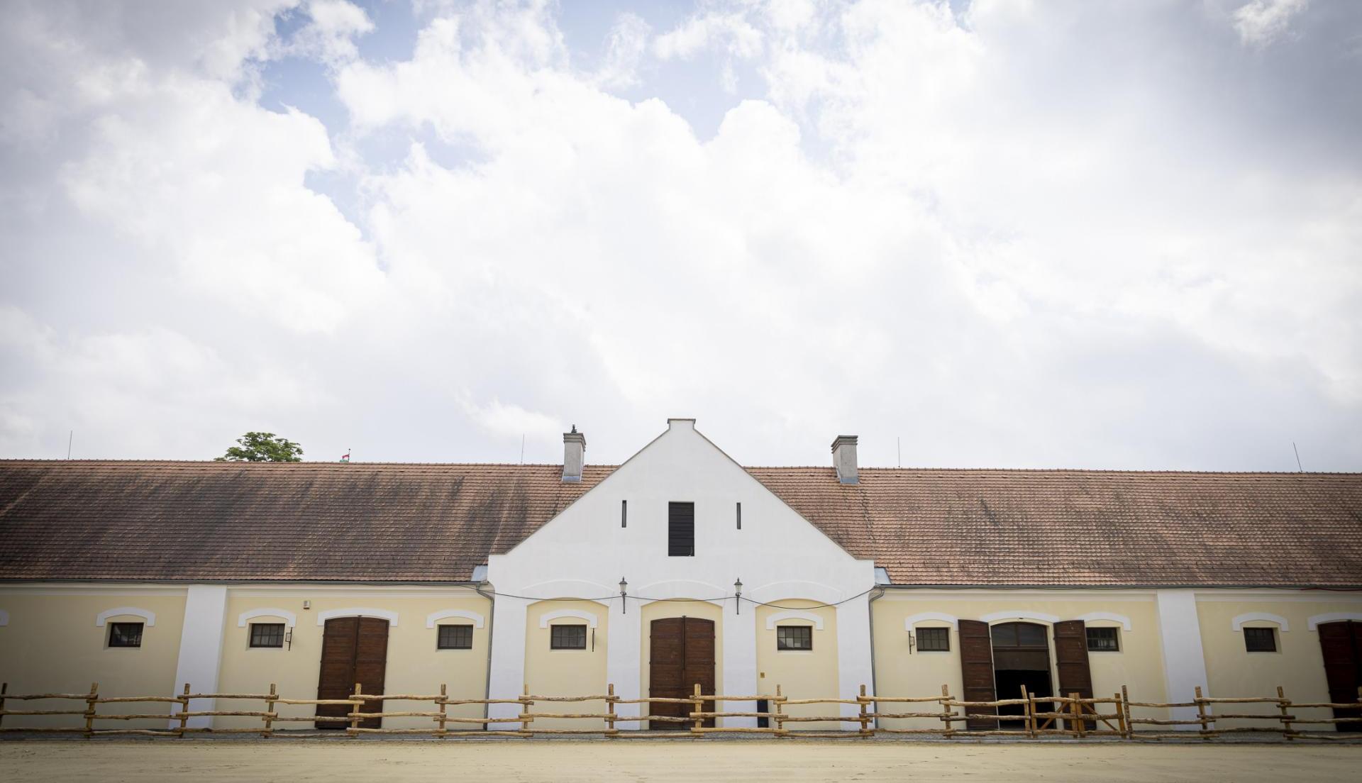 Századokon átívelő érték a kisbéri ménes