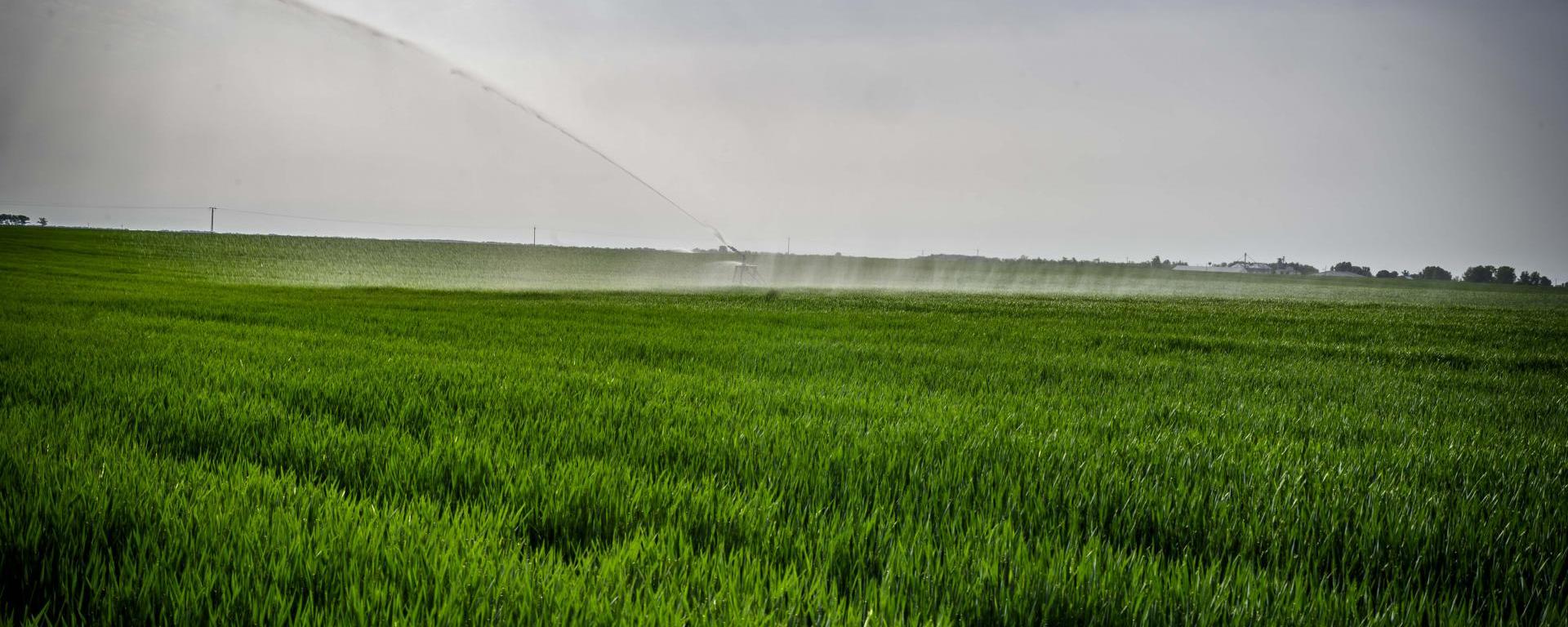 Fotó: Pelsőczy Csaba
