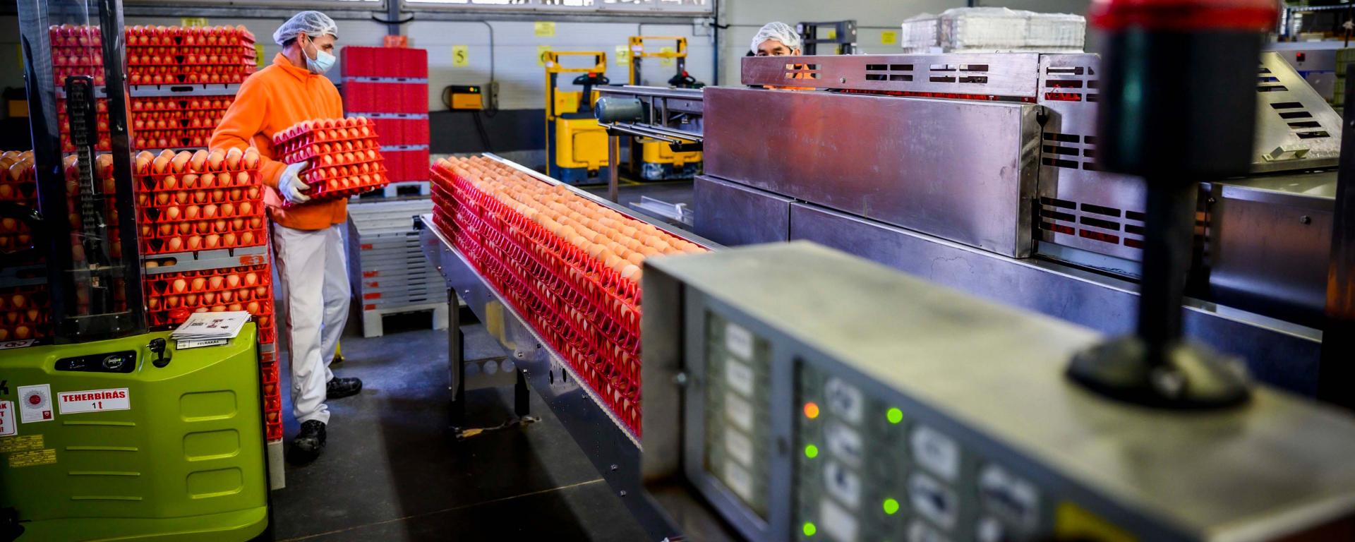 Fotó: Pelsőczy Csaba