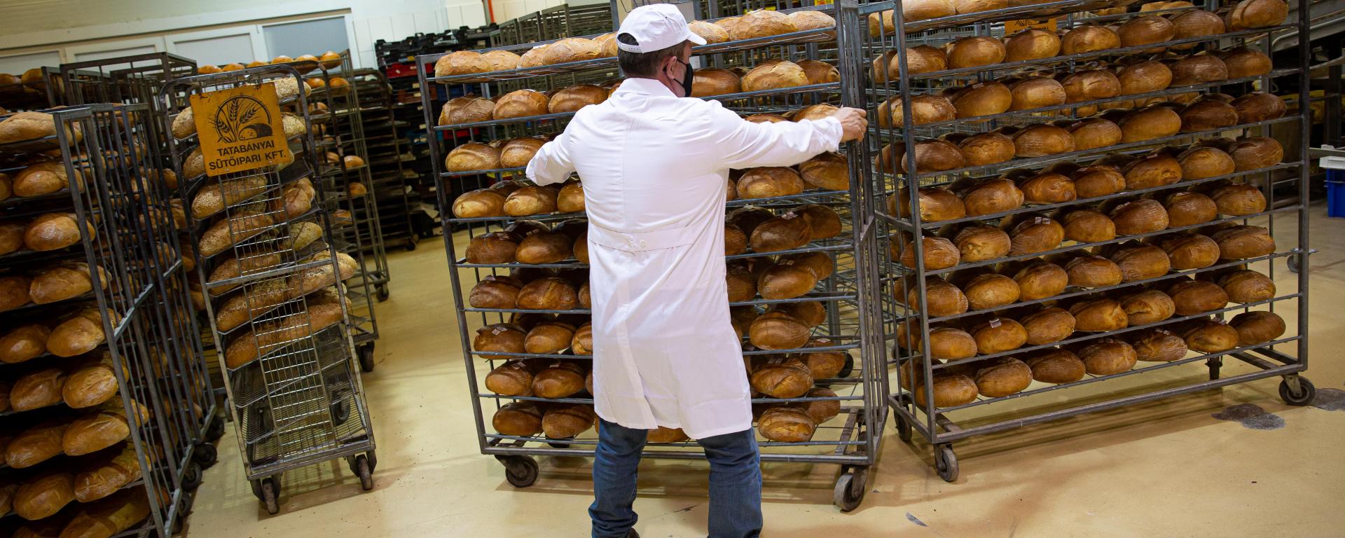 Fotó: Fekete István